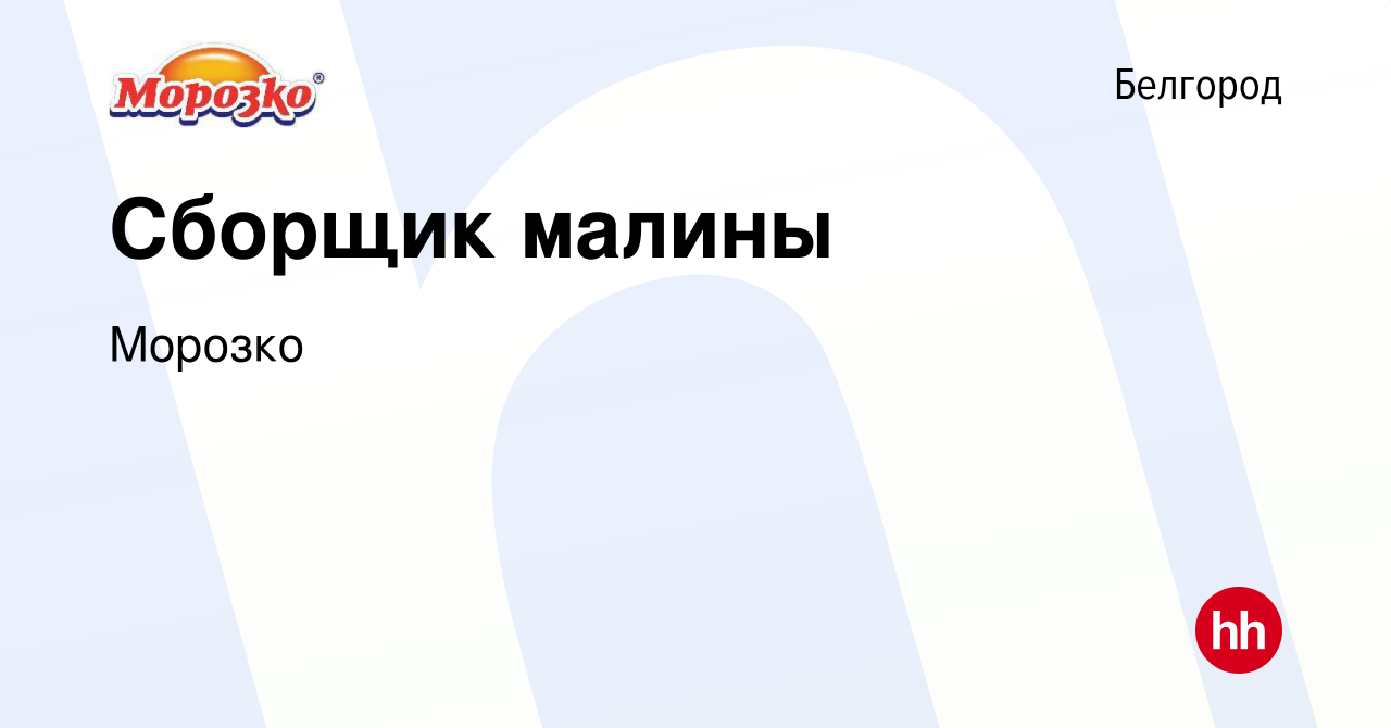 Вакансия Сборщик малины в Белгороде, работа в компании Морозко (вакансия в  архиве c 19 июля 2022)