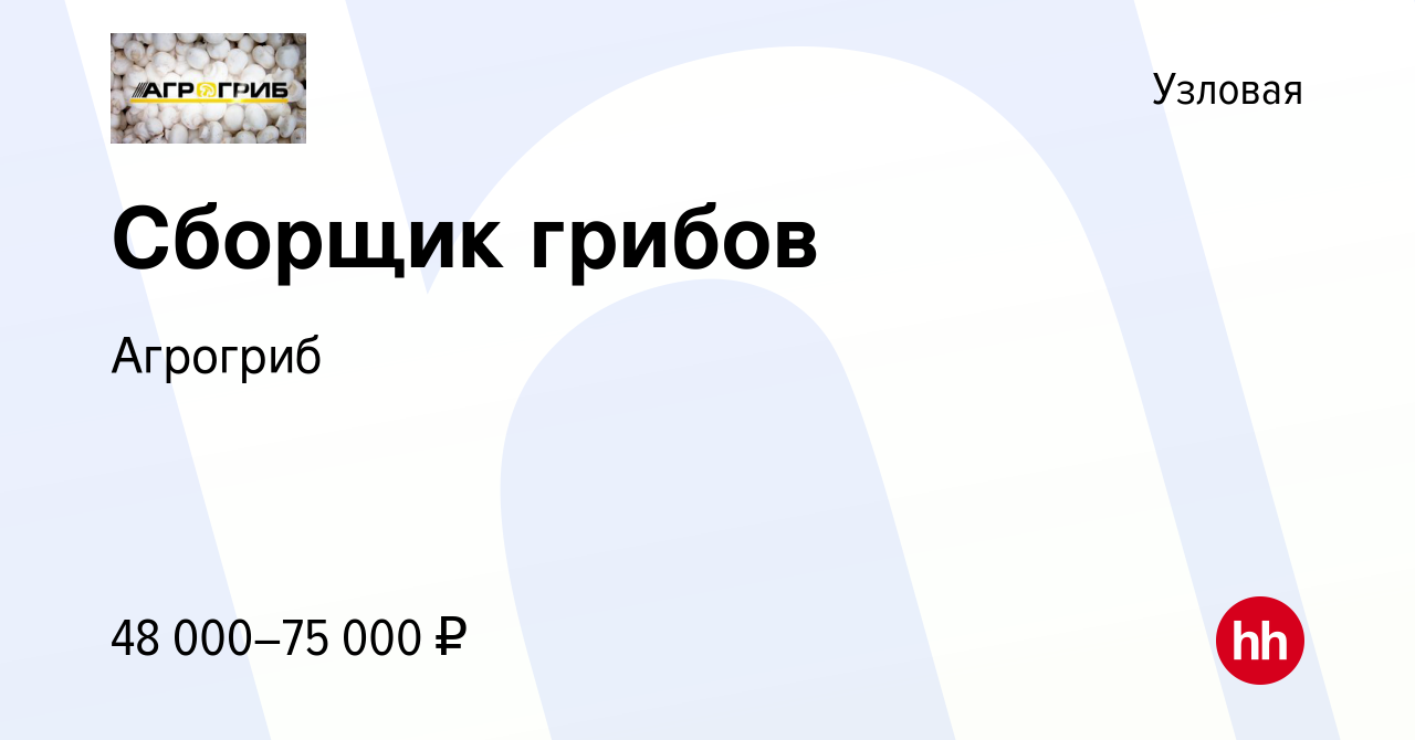 Вакансия Сборщик грибов в Узловой, работа в компании Агрогриб (вакансия в  архиве c 3 октября 2023)