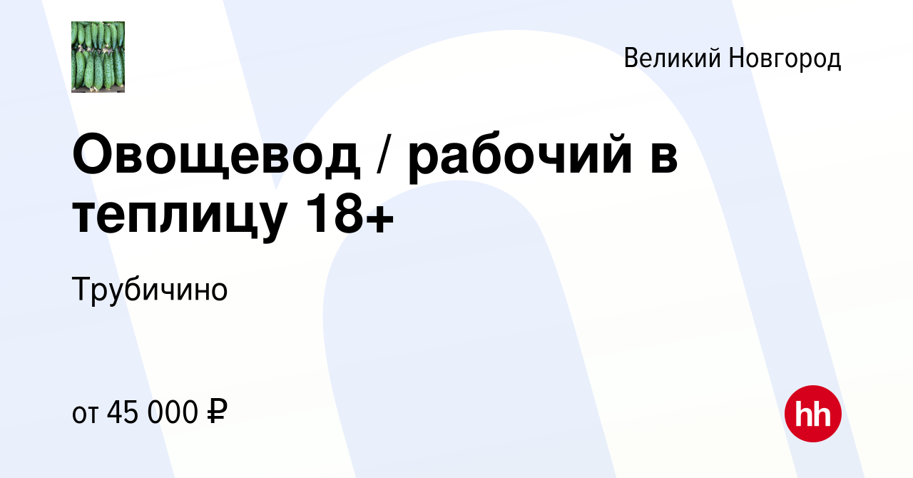 Вакансия Овощевод / рабочий в теплицу 18+ в Великом Новгороде, работа в  компании Трубичино (вакансия в архиве c 8 июля 2023)