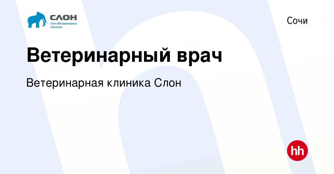 Вакансия Ветеринарный врач в Сочи, работа в компании Ветеринарная клиника  Слон (вакансия в архиве c 9 августа 2023)