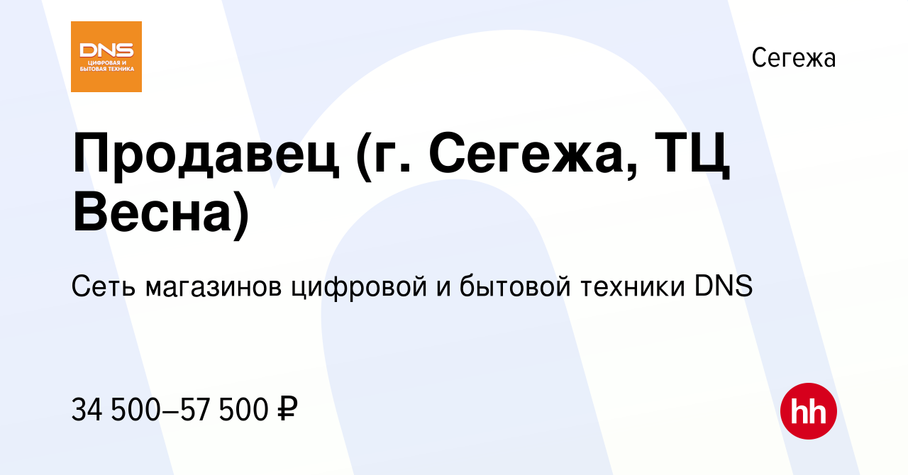 Вакансия Продавец (г. Сегежа, ТЦ Весна) в Сегеже, работа в компании Сеть  магазинов цифровой и бытовой техники DNS (вакансия в архиве c 1 октября  2023)