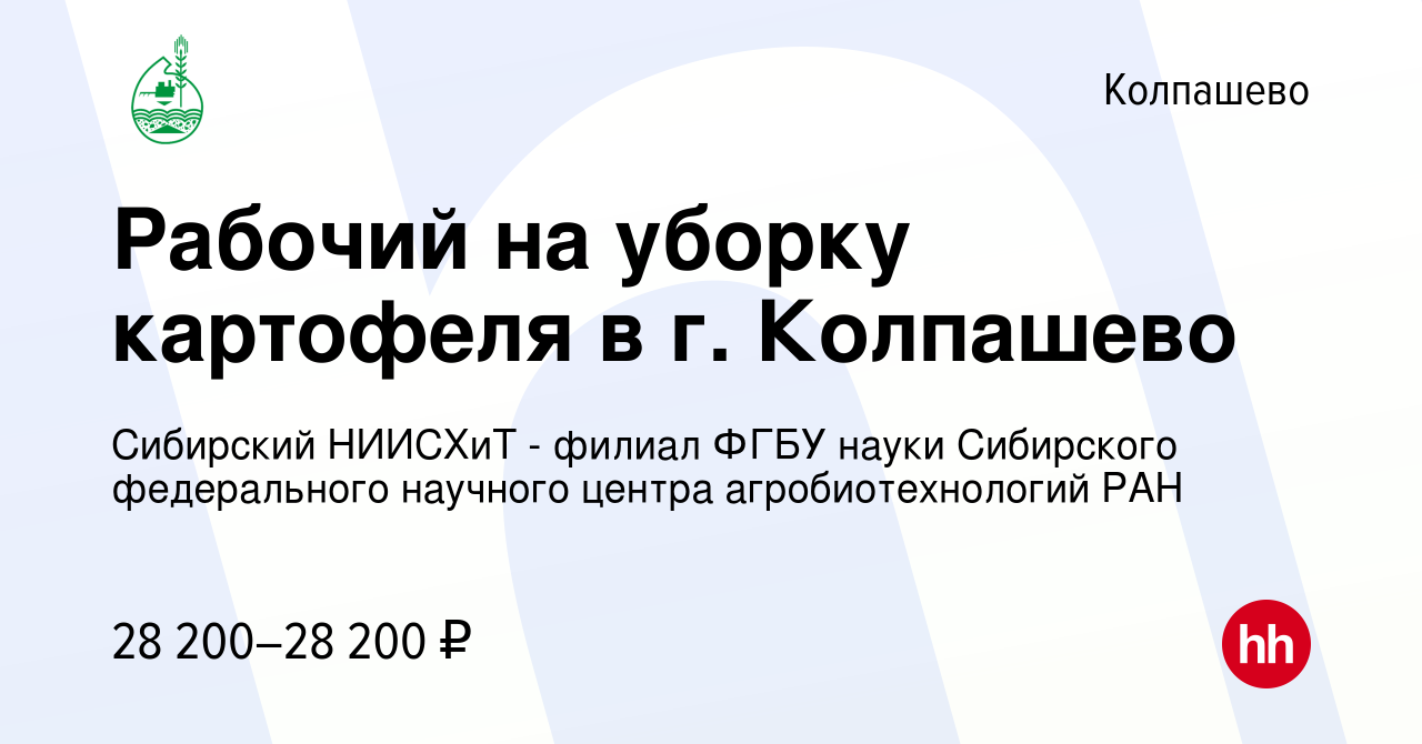 Вакансия Рабочий на уборку картофеля в г. Колпашево в Колпашево, работа в  компании Сибирский НИИСХиТ - филиал ФГБУ науки Сибирского федерального  научного центра агробиотехнологий РАН (вакансия в архиве c 12 сентября 2023)