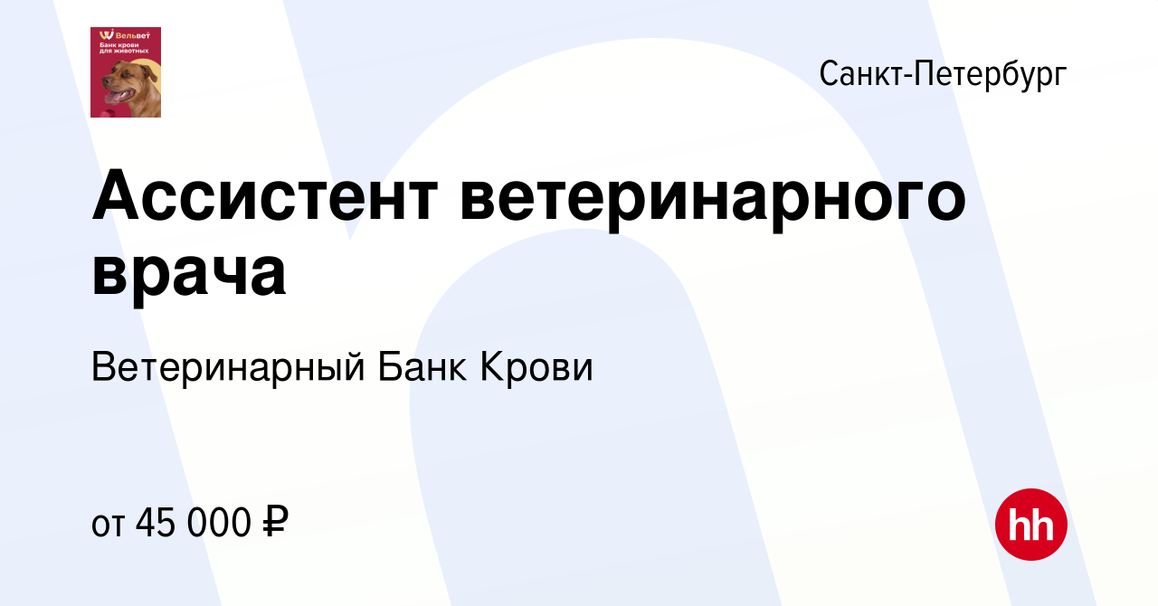 Вакансия Ассистент ветеринарного врача в Санкт-Петербурге, работа в  компании Ветеринарный Банк Крови (вакансия в архиве c 7 декабря 2023)