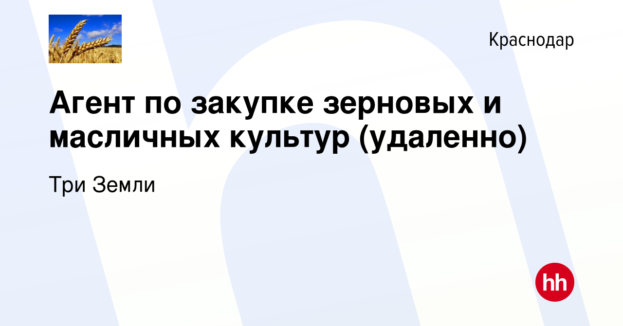 Вакансия Агент по закупке зерновых и масличных культур (удаленно) в  Краснодаре, работа в компании Три Земли (вакансия в архиве c 10 января 2024)