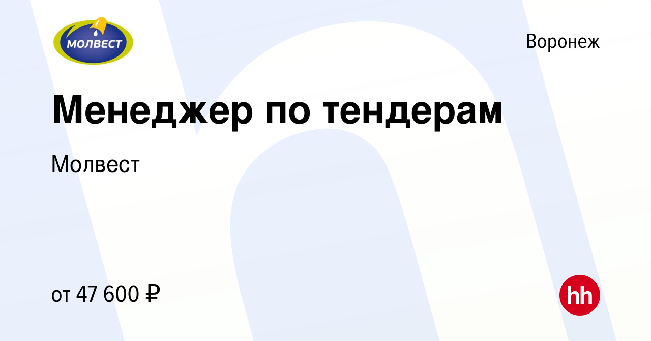 Вакансия Менеджер по тендерам в Воронеже, работа в компании Молвест