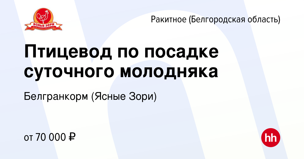 Вакансия Птицевод по посадке суточного молодняка в Ракитном (Белгородской  области), работа в компании Белгранкорм (Ясные Зори)