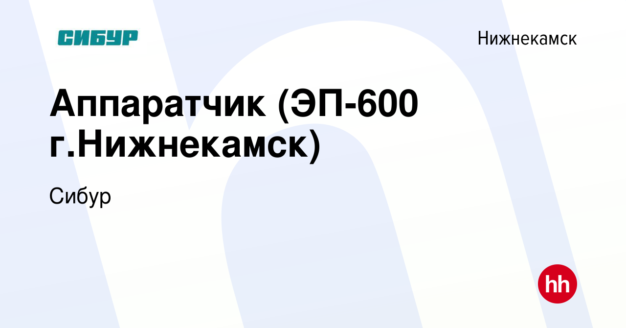 Вакансия Аппаратчик (ЭП-600 г.Нижнекамск) в Нижнекамске, работа в компании  Сибур (вакансия в архиве c 19 февраля 2024)