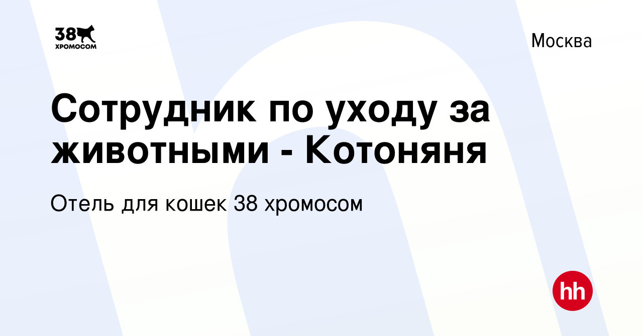 Вакансия Сотрудник по уходу за животными - Котоняня в Москве, работа в  компании Отель для кошек 38 хромосом (вакансия в архиве c 1 мая 2024)