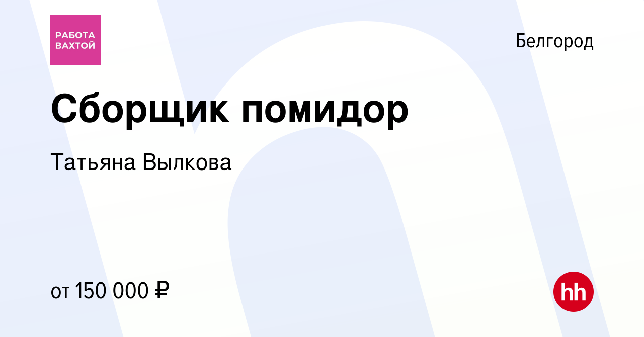 Вакансия Сборщик помидор в Белгороде, работа в компании Татьяна Вылкова  (вакансия в архиве c 2 мая 2024)