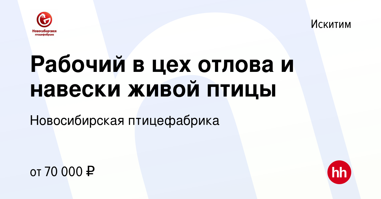 Вакансия Рабочий в цех отлова и навески живой птицы в Искитиме, работа в  компании Новосибирская птицефабрика