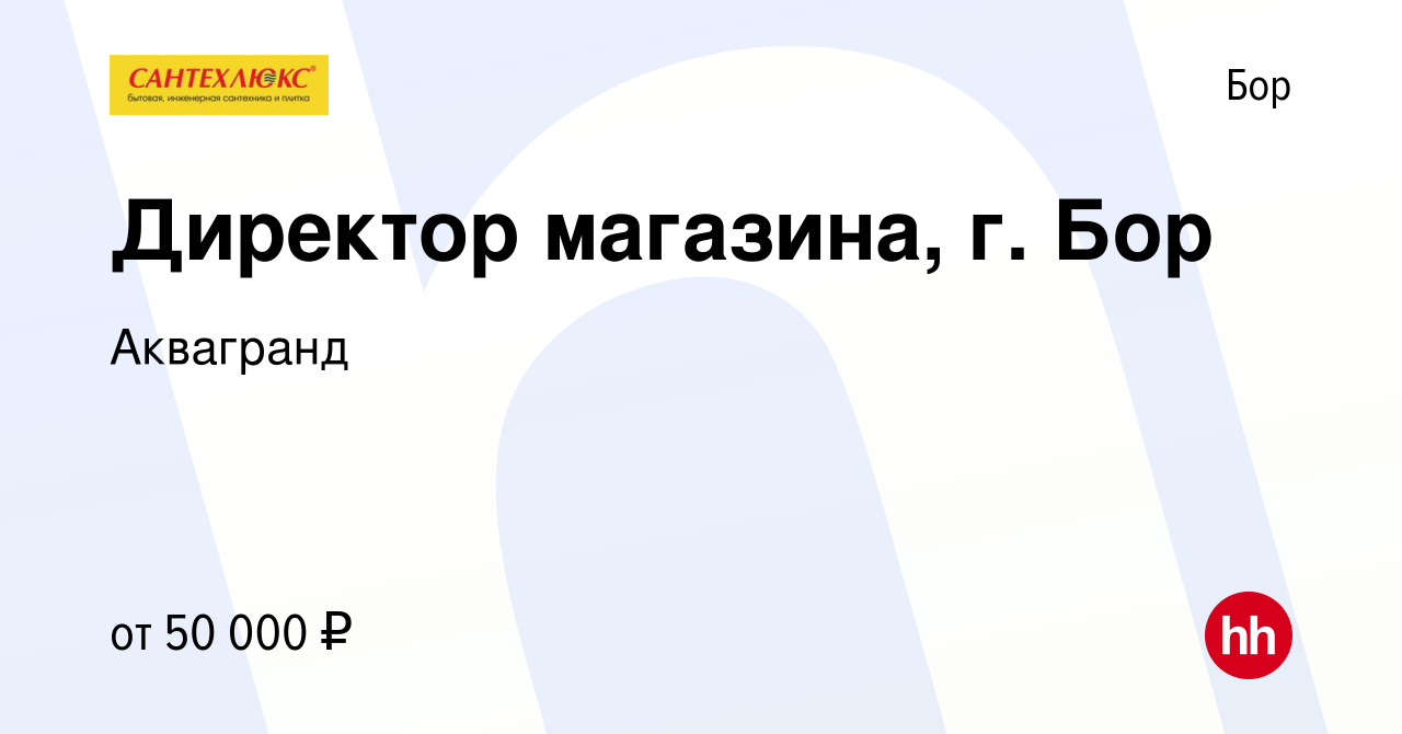 Вакансия Директор магазина, г. Бор на Бору, работа в компании Аквагранд  (вакансия в архиве c 23 мая 2024)